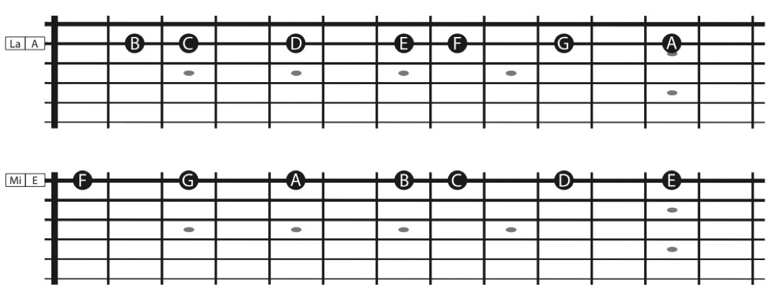 The naturals, notes of a C majors scale, on the A and E strings