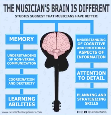 The Musician's Brain
