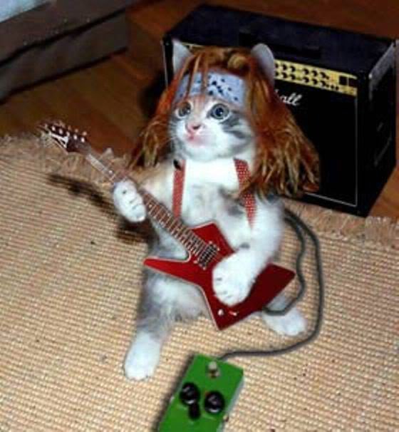 a cute little kitty holding a guitar and rocking out