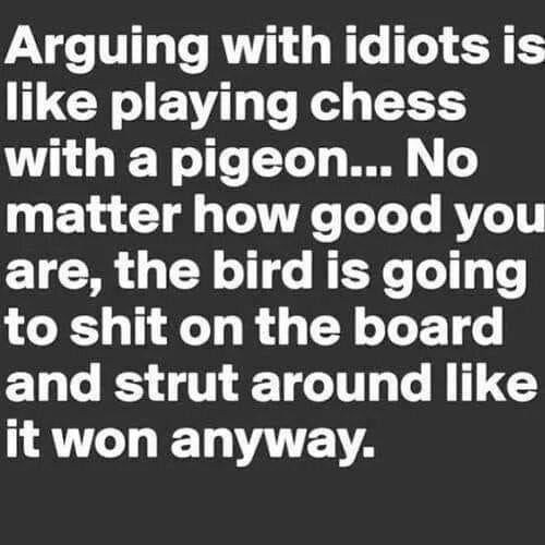 If only they were as smart as that pigeon