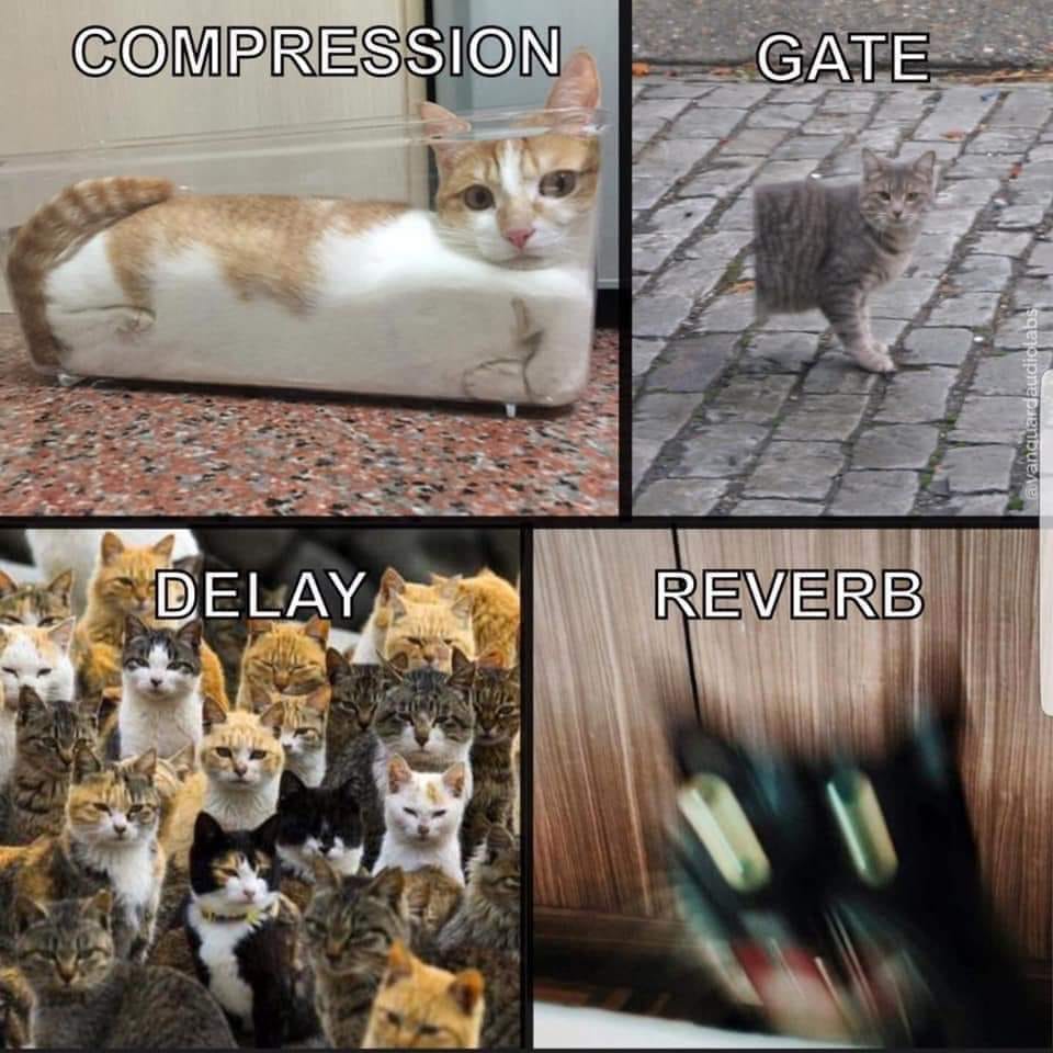 Sound effects explained with super funny cat pictures