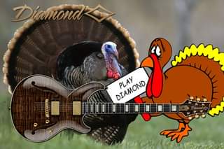 2 turkeys rocking out on guitar
