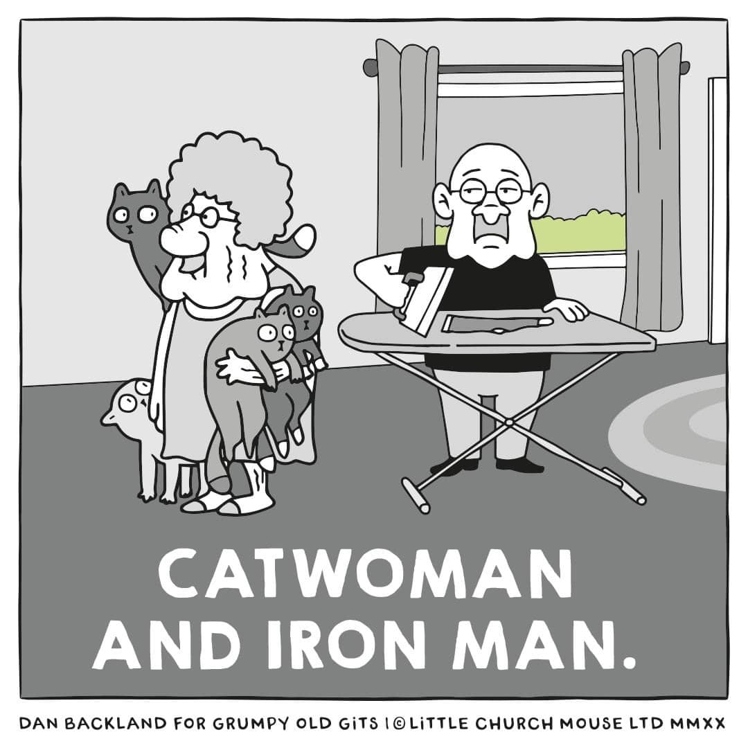 a funny picture showing a grumpy old guy ironing and his wife walking around holding cats