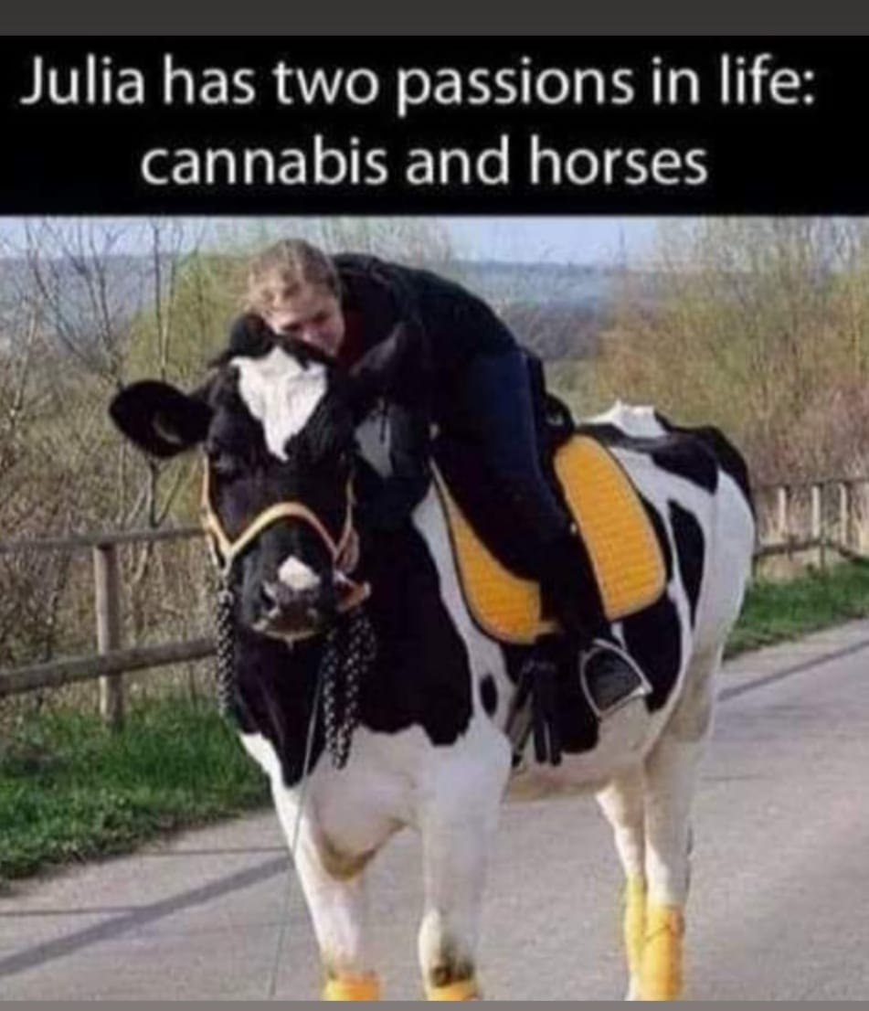 Cannabis and horses
