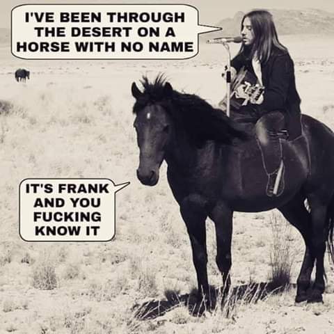 A very frank horse